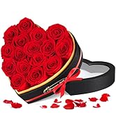 Amazon｜プリザーブドフラワー 赤色 7本薔薇 香りあり 花瓶付き 枯れ